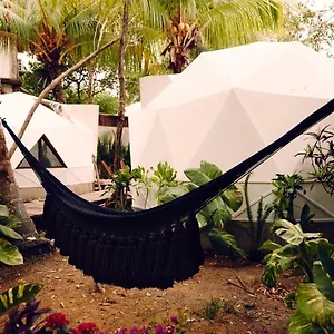 Frequency , Isla Holbox Meksyk